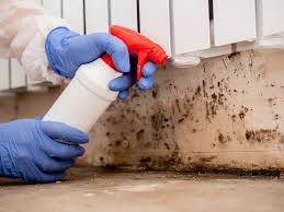 Best Environmental Consulting for Mold Prevention  in Chittenango, NY